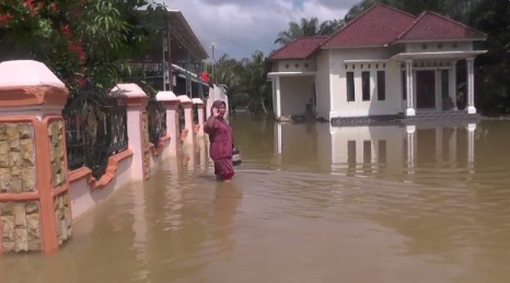 Banjir merupakan salah satu bencana alam yang sering melanda berbagai daerah di Indonesia, terutama saat musim hujan tiba. Salah satu wilayah yang baru saja mengalami bencana ini adalah Pulau Kayu Aro, di mana Sungai Batanghari mengalami meluap yang signifikan, mengakibatkan 386 rumah warga terendam air. Kejadian ini tidak hanya menjadi perhatian lokal tetapi juga menarik perhatian nasional, mengingat dampak yang ditimbulkan terhadap kehidupan masyarakat. Artikel ini akan membahas lebih dalam mengenai penyebab meluapnya Sungai Batanghari, dampak banjir bagi masyarakat Pulau Kayu Aro, langkah-langkah penanganan yang diambil oleh pemerintah dan lembaga terkait, serta upaya mitigasi untuk mencegah terulangnya kejadian serupa di masa mendatang. Penyebab Meluapnya Sungai Batanghari Melihat fenomena alam seperti meluapnya Sungai Batanghari, penting untuk memahami faktor-faktor penyebabnya. Beberapa penyebab yang dapat diidentifikasi termasuk curah hujan yang tinggi, penebangan hutan, dan perubahan penggunaan lahan. Curah Hujan yang Tinggi Curah hujan tinggi merupakan faktor utama yang menyebabkan meluapnya sungai. Dalam beberapa pekan terakhir, daerah yang dilalui Sungai Batanghari mengalami hujan deras secara terus-menerus. Hujan yang tidak kunjung reda ini menyebabkan volume air di sungai meningkat pesat. Data meteorologi menunjukkan bahwa curah hujan di wilayah tersebut mencapai angka yang jauh di atas rata-rata, sehingga sungai tidak mampu menampung debit air yang masuk. Hal ini juga diperburuk oleh kondisi tanah yang jenuh, yang membuat air hujan tidak dapat terserap dengan baik. Penebangan Hutan Penebangan hutan yang meluas juga berkontribusi terhadap masalah ini. Hutan berfungsi sebagai area resapan air yang membantu mengatur aliran air hujan. Ketika hutan ditebang, maka kemampuan tanah untuk menyerap air berkurang drastis, sehingga aliran air ke sungai menjadi lebih cepat. Akibatnya, saat hujan turun, air akan langsung mengalir ke sungai tanpa ada yang menahannya, yang berpotensi meningkatkan risiko banjir. Perubahan Penggunaan Lahan Perubahan penggunaan lahan dari lahan hijau menjadi lahan pertanian atau pemukiman juga mengakibatkan penurunan daya tampung air. Penataan ruang yang tidak terencana dapat mengakibatkan daerah tangkapan air menjadi berkurang. Ketika lahan hijau berkurang, maka kemampuan tanah untuk menyerap air hujan juga menurun. Dengan berkurangnya lahan resapan, air hujan akan lebih cepat mengalir ke sungai, yang pada akhirnya berkontribusi pada meluapnya sungai. Dampak Banjir Bagi Masyarakat Pulau Kayu Aro Dampak dari banjir yang melanda Pulau Kayu Aro sangat dirasakan oleh masyarakat setempat. Selain merendam rumah-rumah, banjir ini juga membawa berbagai dampak sosial dan ekonomi yang mempengaruhi kehidupan sehari-hari warga. Kerugian Materiil Salah satu dampak paling nyata dari banjir adalah kerugian materiil. Dengan 386 rumah terendam, banyak barang-barang berharga yang hilang atau rusak. Perabotan rumah tangga, alat elektronik, dan peralatan lainnya terendam air, mengakibatkan kerugian finansial bagi para warga. Bagi keluarga yang tergantung pada penghasilan harian, hal ini menjadi pukulan telak yang membuat mereka kesulitan untuk memenuhi kebutuhan sehari-hari. Kesehatan dan Kebersihan Banjir juga mempengaruhi kesehatan masyarakat. Air banjir sering kali tercampur dengan limbah, yang berpotensi menimbulkan penyakit. Ketika air bersentuhan dengan bahan-bahan berbahaya, risiko penyakit menular meningkat, mulai dari infeksi saluran pernapasan, diare, hingga penyakit kulit. Selain itu, dengan kondisi lingkungan yang kotor dan tidak higienis, masyarakat harus ekstra waspada terhadap potensi wabah penyakit setelah banjir surut. Pendidikan Anak-anak juga menjadi salah satu pihak yang terdampak. Sekolah-sekolah di sekitar Pulau Kayu Aro harus diliburkan untuk memastikan keselamatan siswa. Proses belajar yang terganggu ini dapat mengakibatkan ketertinggalan dalam pendidikan, dan mempengaruhi masa depan mereka. Ketika aktivitas belajar tidak berjalan normal, maka dampak jangka panjang akan dirasakan oleh masyarakat. Langkah-Langkah Penanganan Banjir oleh Pemerintah Dalam menghadapi bencana banjir, pemerintah memiliki tanggung jawab untuk segera turun tangan dan membantu masyarakat. Berbagai langkah penanganan telah dilakukan untuk meredakan dampak banjir dan membantu warga Pulau Kayu Aro. Evakuasi dan Bantuan Kemanusiaan Pemerintah melalui BPBD (Badan Penanggulangan Bencana Daerah) segera mengorganisir evakuasi bagi masyarakat yang terjebak. Tim SAR dikerahkan untuk menyalurkan bantuan berupa makanan, obat-obatan, dan kebutuhan dasar lainnya. Lokasi pengungsian juga ditentukan untuk memberikan tempat yang aman bagi warga yang harus meninggalkan rumah mereka. Perbaikan Infrastruktur Setelah situasi banjir mulai mereda, langkah selanjutnya adalah memperbaiki infrastruktur yang rusak. Pemerintah harus memastikan akses jalan yang terputus agar masyarakat dapat kembali beraktivitas dengan normal. Selain itu, fasilitas umum seperti sekolah, tempat ibadah, dan fasilitas kesehatan juga perlu diperbaiki agar masyarakat dapat kembali melaksanakan aktivitas mereka. Rencana Mitigasi Pemerintah juga diharapkan merencanakan langkah mitigasi jangka panjang untuk mencegah banjir serupa terulang. Ini termasuk pembangunan saluran drainase yang memadai, reboisasi hutan yang gundul, serta edukasi kepada masyarakat mengenai pentingnya menjaga lingkungan. Dengan langkah-langkah pencegahan yang tepat, diharapkan masyarakat dapat terhindar dari bencana serupa di masa mendatang. Upaya Mitigasi untuk Mencegah Terulangnya Kejadian Serupa Mencegah bencana alam seperti banjir tidak hanya menjadi tanggung jawab pemerintah, tetapi juga masyarakat. Berbagai upaya mitigasi bisa dilakukan untuk meminimalisir risiko banjir ke depannya. Edukasi Masyarakat Edukasi kepada masyarakat tentang pentingnya menjaga lingkungan sangat krusial. Sosialisasi mengenai dampak penebangan hutan, penggunaan lahan, dan perlunya menjaga sistem resapan air agar tetap terjaga akan meningkatkan kesadaran masyarakat. Dengan pemahaman yang baik, masyarakat dapat berkontribusi dalam upaya menjaga lingkungan dan mencegah terjadinya banjir. Pengelolaan Sumber Daya Alam Pengelolaan sumber daya alam yang berkelanjutan harus menjadi prioritas. Ini termasuk reboisasi hutan, pengawasan terhadap penebangan liar, dan pengaturan penggunaan lahan secara bijak. Dengan begitu, daya tampung lahan terhadap air hujan dapat terjaga, sehingga risiko banjir dapat diminimalisir. Pembangunan Infrastruktur yang Berkelanjutan Investasi dalam infrastruktur yang berkelanjutan juga sangat penting. Pembenahan sistem drainase, pembuatan kolam retensi, dan pembangunan taman kota yang berfungsi sebagai area resapan air dapat membantu mengurangi intensitas banjir. Selain itu, pemerintah juga perlu melibatkan masyarakat dalam pengawasan dan pemeliharaan infrastruktur yang dibangun.