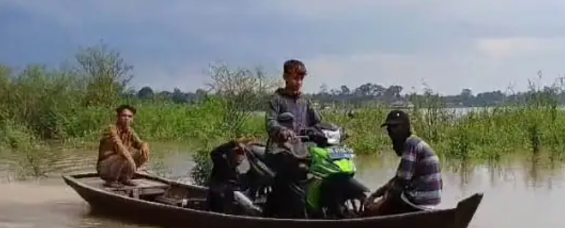 Banjir merupakan salah satu bencana alam yang kerap melanda wilayah Indonesia, terutama di daerah yang memiliki sungai besar seperti Sungai Batanghari. Sungai ini memiliki peranan penting dalam kehidupan masyarakat sekitar, baik dari segi ekonomi maupun sosial. Namun, ketika volume air meningkat akibat curah hujan yang tinggi, Sungai Batanghari dapat meluap dan menyebabkan dampak yang signifikan, terutama bagi desa-desa yang berada di sekitarnya. Dalam artikel ini, kita akan membahas fenomena meluapnya Sungai Batanghari yang telah mengakibatkan tiga desa di Muaro Jambi dikepung banjir. Kita akan menggali penyebab, dampak, serta langkah-langkah yang diambil untuk mengatasi permasalahan ini. Penyebab Meluapnya Sungai Batanghari Meluapnya Sungai Batanghari tidak dapat dipisahkan dari berbagai faktor yang saling berkaitan. Salah satu penyebab utama adalah curah hujan yang tinggi dalam periode waktu tertentu. Di Muaro Jambi, musim hujan biasanya berlangsung dari bulan November hingga Maret. Selama periode ini, intensitas hujan yang tinggi dapat menyebabkan volume air di sungai meningkat drastis. Selain curah hujan, faktor lain yang perlu diperhatikan adalah kondisi wilayah hulu Sungai Batanghari. Kondisi hutan di daerah hulu memiliki dampak besar terhadap aliran sungai. Penebangan hutan yang berlebihan untuk kepentingan pertanian atau penambangan dapat menyebabkan terjadinya erosi tanah. Erosi ini mengakibatkan sedimentasi di Sungai Batanghari, yang pada akhirnya mengurangi daya tampung sungai dalam menampung air. Ketika hujan turun dengan deras, sungai tidak mampu menampung jumlah air yang masuk, dan ini menyebabkan banjir. Selain faktor alam, ada pula aspek manusia yang berkontribusi terhadap meluapnya sungai. Pembangunan infrastruktur seperti bendungan, jembatan, dan saluran drainase yang tidak memadai dapat memperparah situasi. Jika saluran-saluran ini tidak dirancang untuk menampung aliran air yang besar, maka banjir pun menjadi tak terhindarkan. Oleh karena itu, analisis menyeluruh dan perencanaan yang baik sangat penting dalam mengatasi masalah ini agar dampak banjir dapat diminimalisir. Dampak Banjir Terhadap Masyarakat Meluapnya Sungai Batanghari dan terjadinya banjir di tiga desa Muaro Jambi tentu memberikan dampak yang signifikan terhadap masyarakat setempat. Pertama-tama, banjir mengganggu aktivitas sehari-hari warga. Kegiatan pertanian, yang merupakan sumber mata pencaharian utama bagi banyak penduduk desa, terpaksa terhenti. Sawah yang terendam air tidak bisa ditanami, dan hasil pertanian yang sudah ada dapat rusak. Hal ini berpotensi menyebabkan krisis pangan lokal dan meningkatkan ketergantungan masyarakat pada pasokan pangan dari luar. Selain sektor pertanian, dampak banjir juga dirasakan dalam aspek ekonomi lainnya. Banyak bisnis kecil yang terpaksa tutup akibat banjir, sehingga pendapatan masyarakat menurun. Dengan berkurangnya pendapatan, banyak keluarga yang kesulitan memenuhi kebutuhan sehari-hari. Ini akan memicu meningkatnya angka kemiskinan dan berpotensi menimbulkan ketegangan sosial di antara warga. Dari sisi kesehatan, banjir juga membawa risiko tersendiri. Genangan air dapat menjadi sarang penyakit, seperti demam berdarah dan leptospirosis, yang menyebar melalui tikus dan vektor lainnya. Selain itu, akses ke layanan kesehatan menjadi sulit, karena fasilitas kesehatan mungkin juga terdampak banjir. Dalam keadaan darurat, seperti ini, penting bagi pemerintah dan lembaga kesehatan untuk segera turun tangan memberikan bantuan medis dan informasi mengenai pencegahan penyakit. Upaya Penanggulangan Banjir Menghadapi situasi banjir yang berulang, pemerintah dan masyarakat di Muaro Jambi perlu melakukan upaya penanggulangan yang efektif. Salah satu langkah awal yang dapat dilakukan adalah penguatan infrastruktur. Pembangunan tanggul yang lebih tinggi dan sistem drainase yang baik akan membantu mengurangi risiko banjir. Pemerintah juga perlu melakukan pemeliharaan secara rutin terhadap infrastruktur yang ada agar tetap berfungsi dengan baik. Selain itu, edukasi kepada masyarakat tentang cara menghadapi banjir juga penting. Pemerintah dan lembaga terkait bisa mengadakan sosialisasi tentang langkah-langkah yang harus diambil saat terjadi banjir. Misalnya, pentingnya memiliki rencana evakuasi bagi penduduk di daerah rawan banjir dan penyimpanan barang-barang berharga di tempat yang aman. Penghijauan di hulu sungai juga menjadi langkah strategis dalam penanganan banjir. Dengan menjaga kelestarian hutan dan melakukan reboisasi, erosi tanah dapat dicegah, sehingga sedimentasi di sungai dapat diminimalisir. Ini akan membantu Sungai Batanghari untuk tetap berfungsi dengan baik dan mampu menampung volume air saat hujan lebat. Keterlibatan Komunitas Keterlibatan masyarakat dalam upaya penanggulangan banjir sangatlah penting. Masyarakat bisa berperan aktif dalam menjaga lingkungan, seperti membersihkan saluran air dari sampah yang dapat menghambat aliran air. Selain itu, pembentukan kelompok-kelompok relawan untuk penanganan bencana juga bisa menjadi alternatif yang baik dalam mengorganisir bantuan bagi warga yang terdampak. Kesimpulan Meluapnya Sungai Batanghari yang menyebabkan banjir di tiga desa di Muaro Jambi merupakan fenomena yang kompleks dan membutuhkan penanganan yang serius. Dengan memahami penyebab utama dari banjir, dampaknya terhadap masyarakat, serta upaya-upaya yang dapat dilakukan, diharapkan kita bisa bersama-sama meminimalisir risiko dan dampak yang ditimbulkan oleh bencana alam ini. Kolaborasi antara pemerintah, masyarakat, dan lembaga terkait sangat diperlukan untuk menciptakan lingkungan yang lebih aman dan nyaman bagi semua.