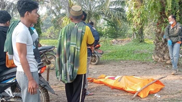 Kasus penemuan mayat wanita yang terkubur di kebun sawit di Batanghari, Jambi, telah menggemparkan masyarakat setempat dan menimbulkan berbagai spekulasi mengenai penyebab kematiannya. Penyelidikan yang dilakukan pihak kepolisian mengarah pada dugaan pembunuhan, dan suami dari korban menjadi salah satu tersangka utama. Dalam artikel ini, kita akan membahas secara mendalam mengenai kronologi kejadian, latar belakang kehidupan korban dan tersangka, dampak sosial dari kasus ini, serta perkembangan terbaru dari penyelidikan yang dilakukan oleh pihak berwenang. Kronologi Kejadian Kronologi kejadian penemuan mayat wanita di kebun sawit Batanghari dimulai dengan laporan hilangnya korban yang dilakukan oleh keluarga. Dalam beberapa hari sebelum penemuan, korban dikabarkan tidak terlihat oleh tetangga dan keluarganya. Keluarga korban merasa khawatir dan melaporkan kepada pihak berwenang. Pihak kepolisian segera melakukan pencarian yang melibatkan masyarakat setempat. Setelah beberapa hari pencarian, seorang warga yang sedang bekerja di kebun sawit menemukan mayat yang terkubur dengan posisi yang mencurigakan. Penemuan ini segera dilaporkan kepada pihak kepolisian, yang langsung menuju lokasi untuk melakukan penyelidikan lebih lanjut. Saat tim penyelidik menggali lokasi tersebut, mereka menemukan mayat wanita yang diyakini sebagai korban. Pihak kepolisian kemudian melakukan identifikasi dan memastikan bahwa mayat tersebut adalah [nama korban], yang merupakan seorang ibu rumah tangga berusia [usia korban]. Dengan ditemukannya mayat, penyelidikan dilanjutkan untuk mengetahui penyebab kematian dan mencari tahu pelaku di balik insiden tragis ini. Analisis forensik dilakukan untuk menentukan waktu dan penyebab kematian, serta untuk menemukan petunjuk yang dapat mengarah kepada pelaku. Dari hasil penyelidikan awal, ditemukan beberapa luka di tubuh korban yang mengindikasikan bahwa ia kemungkinan dibunuh. Keterangan dari keluarga dan teman-teman korban juga menjadi penting dalam pengembangan kasus ini. Beberapa saksi mengungkapkan bahwa mereka mendengar pertengkaran antara korban dan suaminya sebelum korban menghilang. Hal ini membuat pihak kepolisian semakin fokus untuk menyelidiki suami korban sebagai tersangka utama. Latar Belakang Kehidupan Korban dan Tersangka Kehidupan [nama korban] dan suaminya [nama suami] memiliki latar belakang yang kompleks. Korban dikenal sebagai sosok yang baik hati dan rajin bergaul di lingkungan sekitar. Ia memiliki dua orang anak yang masih kecil, dan sering terlibat dalam kegiatan masyarakat di desanya. Namun, meskipun terlihat bahagia, terdapat beberapa masalah dalam rumah tangga mereka yang mungkin menjadi penyebab konflik. Suami korban, [nama suami], dikenal sebagai sosok yang pendiam dan kurang bergaul. Beberapa tetangga melaporkan bahwa mereka sering melihat pertengkaran antara pasangan ini, meskipun tidak ada yang benar-benar tahu pasti apa penyebabnya. Dari keterangan yang diperoleh, suami memiliki riwayat masalah keuangan yang dapat memicu ketegangan di dalam rumah tangga. Keluarga korban juga menyatakan bahwa mereka merasa ada yang tidak beres dengan hubungan keduanya. Beberapa kali, korban pernah menceritakan kepada keluarganya tentang masalah yang ia hadapi dengan suaminya. Hal ini membuat pihak keluarga merasa khawatir dan berusaha mendekatkan diri kepada korban agar ia tidak merasa sendirian dalam menghadapi masalah tersebut. Setelah kasus ini menjadi perhatian publik, banyak orang mulai membahas tentang kekerasan dalam rumah tangga dan pentingnya dukungan sosial bagi korban. Diskusi ini muncul dari fakta bahwa banyak wanita yang mengalami kekerasan di rumah tangga tetapi tidak berani untuk melaporkannya. Kasus ini kemudian menjadi cerminan bagi masyarakat untuk lebih peduli dan peka terhadap isu-isu kekerasan yang sering terjadi dalam rumah tangga, serta pentingnya melibatkan pihak berwenang untuk menangani masalah tersebut. Dampak Sosial dari Kasus Ini Kasus pembunuhan yang melibatkan wanita di Batanghari ini bukan hanya sebuah tragedi untuk keluarga korban, tetapi juga memberikan dampak yang lebih luas pada masyarakat setempat. Kasus ini memunculkan kesadaran akan isu kekerasan terhadap perempuan yang sering kali terabaikan. Banyak anggota masyarakat yang menyatakan keprihatinan mereka dan meminta agar pihak berwenang lebih aktif dalam menangani masalah kekerasan dalam rumah tangga. Dampak sosial dari kasus ini juga terlihat dari meningkatnya diskusi di media sosial mengenai kekerasan terhadap perempuan, peran suami dalam rumah tangga, serta pentingnya edukasi dan sosialisasi mengenai hak-hak perempuan. Banyak organisasi non-pemerintah mulai menawarkan program-program edukasi dan pendampingan bagi perempuan yang menjadi korban kekerasan, baik secara fisik maupun psikologis. Selain itu, kasus ini juga mendorong pemerintah daerah untuk lebih serius dalam menangani kasus-kasus kekerasan terhadap perempuan. Pihak kepolisian dan lembaga terkait mulai merancang program-program untuk meningkatkan kesadaran masyarakat mengenai pentingnya melaporkan tindak kekerasan dan memberikan perlindungan kepada korban. Ini adalah langkah positif yang diharapkan dapat menciptakan lingkungan yang lebih aman bagi perempuan di masyarakat. Kasus ini juga menggugah perhatian kalangan akademisi dan peneliti untuk melakukan kajian lebih dalam mengenai fenomena kekerasan dalam rumah tangga di Indonesia. Penelitian-penelitian ini diharapkan dapat memberikan rekomendasi yang berguna bagi pemerintah dan organisasi terkait untuk merumuskan kebijakan yang lebih efektif dalam mencegah dan menangani kasus kekerasan terhadap perempuan. Perkembangan Terbaru dari Penyelidikan Penyelidikan kasus pembunuhan wanita di Batanghari terus berjalan, dan pihak kepolisian telah melakukan berbagai upaya untuk mengumpulkan bukti dan saksi. Setelah melakukan interogasi terhadap suami korban, pihak kepolisian mengumumkan bahwa mereka telah mendapatkan beberapa bukti yang menguatkan dugaan bahwa suami adalah pelaku pembunuhan. Sementara itu, tim forensik juga terus melakukan analisis terhadap barang bukti yang ditemukan di lokasi kejadian. Hasil analisis ini diharapkan dapat memberikan informasi lebih lanjut mengenai kronologi kejadian, serta memperkuat bukti-bukti yang ada. Penyelidikan ini melibatkan berbagai pihak, termasuk ahli psikologi untuk melakukan penilaian terhadap kondisi mental suami korban. Dalam perkembangan terbaru, beberapa saksi yang sebelumnya enggan berbicara kini mulai memberikan keterangan yang lebih jelas. Mereka mengungkapkan bahwa mereka mendengar suara keras dari rumah pasangan tersebut pada malam sebelum korban dilaporkan hilang. Keterangan ini menjadi sangat penting untuk menguatkan dugaan bahwa terjadi kekerasan di dalam rumah tangga tersebut. Pihak kepolisian berencana untuk melakukan rekonstruksi kejadian untuk mendapatkan gambaran yang lebih jelas mengenai apa yang terjadi pada malam itu. Rekonstruksi ini akan melibatkan semua saksi yang ada, termasuk keluarga dan tetangga. Pihak kepolisian berharap dengan langkah ini, mereka dapat menemukan titik terang dalam kasus yang sangat menggemparkan ini. Berdasarkan perkembangan yang ada, masyarakat berharap agar kasus ini dapat diselesaikan dengan cepat dan adil. Mereka juga berharap agar pihak terkait dapat mengambil pelajaran dari kasus ini untuk mencegah terulangnya kejadian serupa di masa depan. Keterlibatan masyarakat dalam memberikan dukungan kepada korban kekerasan dan pelanggaran hak asasi manusia lainnya diharapkan dapat meningkat setelah kasus ini.